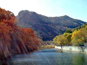 澳门二四六天天彩图库，纤雅减肥茶多少钱